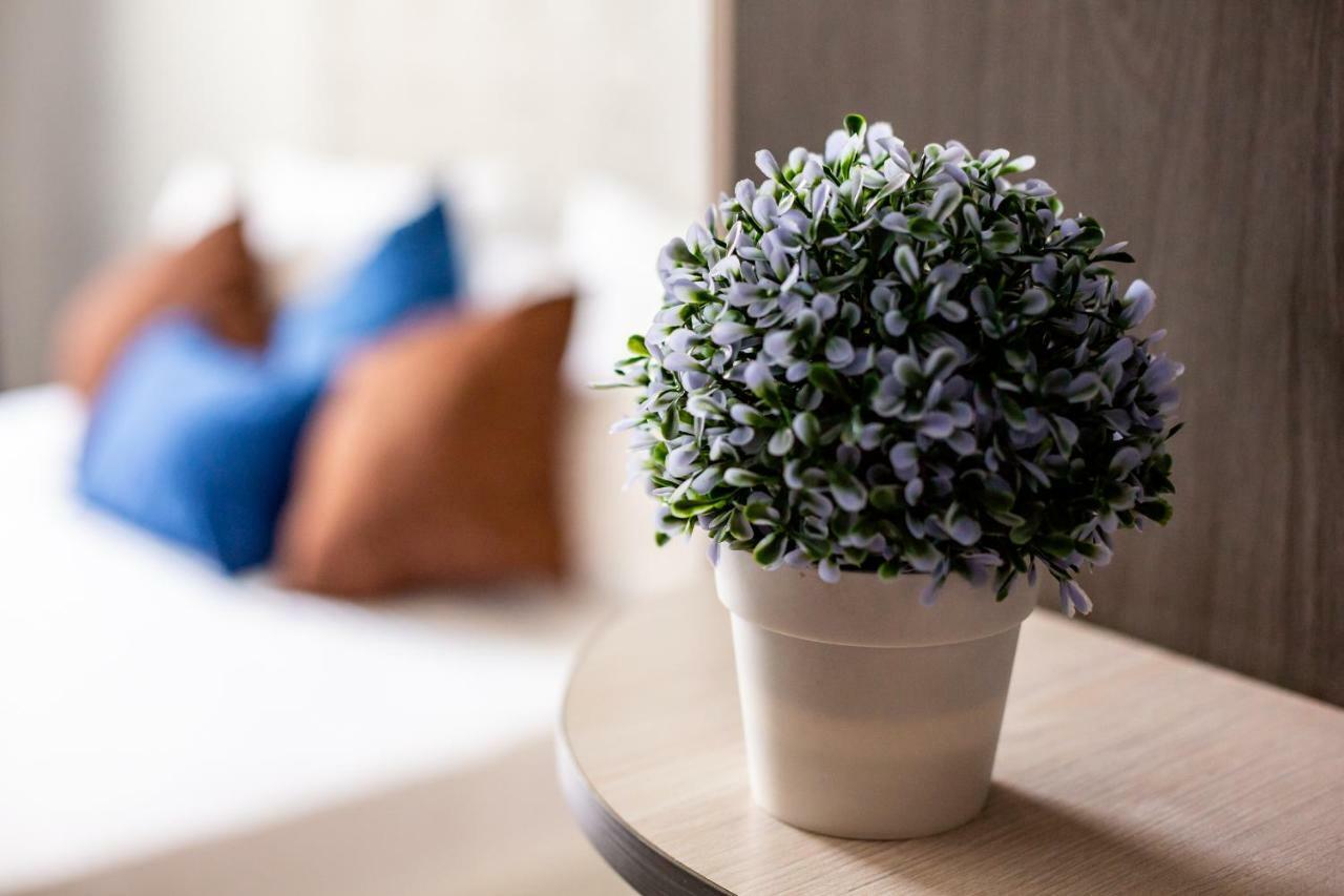 Alfa Apartments Kniazia Romana 11 إلفيف المظهر الخارجي الصورة